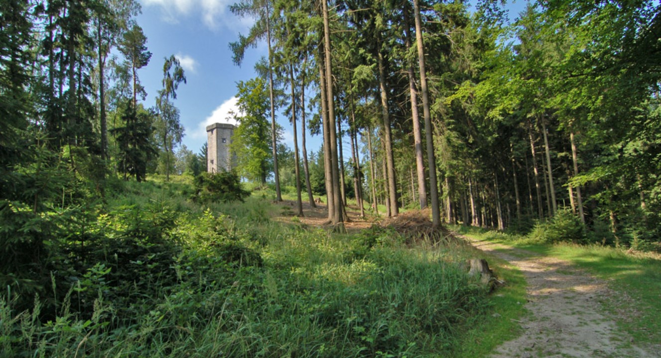 Rozhledna Studený vrch